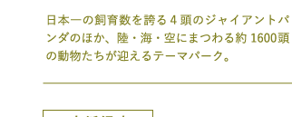 {̎琔ւS̃WCAgp_̂قAECEɂ܂1600̓}e[}p[NB