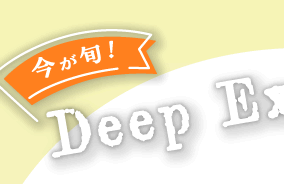{IDeep Experience!