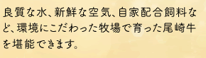 ǎȐAVNȋCAƔzȂǁAɂqň苍\ł܂B