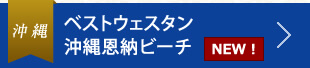 xXgEFX^ꉶ[r[`