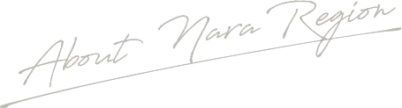 About Nara Region