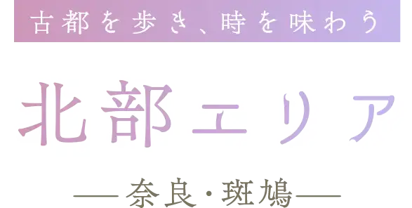 ÓsA𖡂키 kGA -ޗǁE-