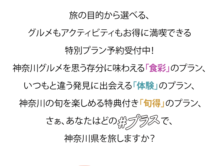 ̖ړIIׂAOANeBreBɖiłʃv\tI_ސOvɖ킦uHʁṽvAƈႤɏoǔṽvA _ސ̏{y߂Ttu{ṽvAAȂ͂ǂ́vXŁA_ސ쌧𗷂܂H