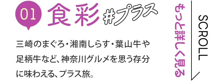 01 HʁvX@Ô܂EÓ삵炷EtR⑫ȂǁA_ސOvɖ킦AvXBƏڂ