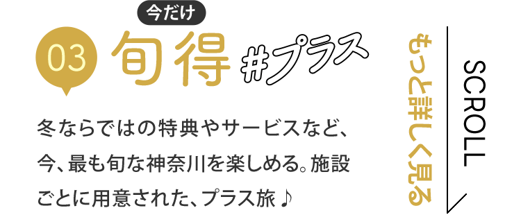 03 {vX@~Ȃł͂̓TT[rXȂǁAAł{Ȑ_ސy߂B{݂ƂɗpӂꂽAvXƏڂ