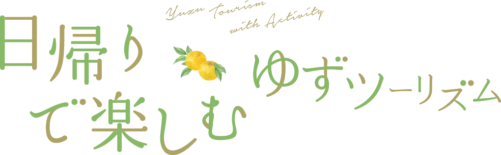 ���A��Ŋy���ނ䂸�c�[���Y��