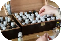 ����̋�������i�͂�ȁjImage