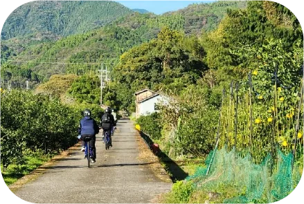 ���{��Y���|�䂸�ƐX�ѓS���K�C�h�� Image