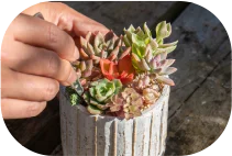 �����[�K�[�f�� Image