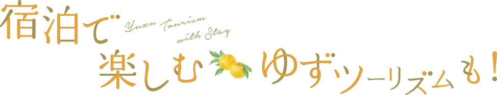 �h���Ŋy���ނ䂸�c�[���Y�����I