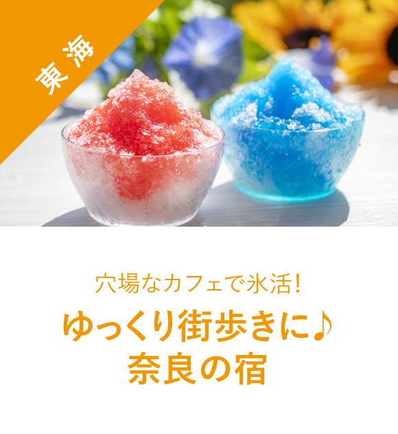 ޗǂ̏h