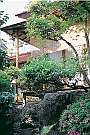 日本庭園を見ながらのんびり過ごせる