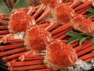 本ズワイガニ姿まるごと食べ放題　※イメージ