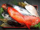 下田で水揚げされる地魚たちを使って美味しい夕食を作ります！