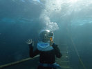 woman-walking-seawalker
