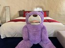 200cmのクマがお出迎え！