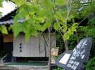 日本の美を感じる暖簾がやさしく迎えます