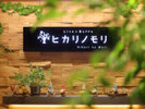 【Live×ビュッフェ「ヒカリノモリ」】心がおどる食のエンターテイメント。新感覚のビュッフェレストラン