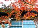 ・【周辺】秋にはきれいな紅葉に彩られます