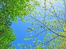 【早期割60】60日前のご予約で通常プランより最大15％OFF！《ビュッフェ朝食＆夕食》