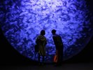 【加茂水族館】世界に誇る、直径5メートルの水槽「クラゲドリームシアター」
