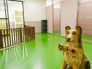 2014年7月ペットハウスも新しく完成！小動物～小型犬～大型犬迄可能。館内及び客室同行不可。