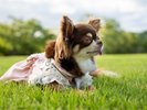 【夏旅限定タイムセール】夏限定のお得なプランはこちら♪