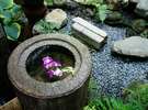 京町家の小さな自然　「坪庭と手水鉢」