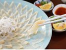 冬季　数量限定　ふぐコース予約受付中