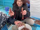 このサイズはめったに入らない特別な逸品です