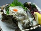 浜坂の岩牡蠣を一度食べると病みつきに・・・毎年食べたくなっちゃいますよ♪