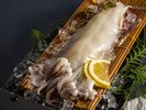 白イカの姿造り