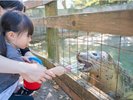 【那須どうぶつ王国】（当館から車で20分）150種600頭の動物をお楽しみいただけます♪