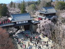 ・【上田城】春には約1,000本の桜が咲き誇る桜の名所。多くの観光客で賑わいます