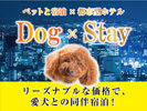 ドッグステイ