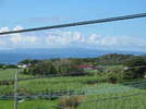 明星荘の屋上から眺める長閑で癒される風景♪さとうきび畑の向う側に沖縄本島。