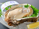 鳥取県産天然岩牡蠣　ブランド「夏輝」レモン仕立て