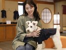 【2食付き最安値】少食の方やお酒を嗜みたい方にオススメ♪