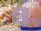 【春の膳】-富山湾の春を告げるホタルイカと白えびの季節感あふれるお料理。-