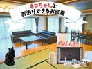 ネコちゃんとお泊りいただけるお部屋です。ネコちゃん用の備品もご用意しております♪