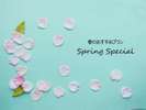 Spring　Special(イメージ)