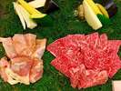 贅の極み「九州厳選和牛ヒレ肉」