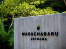 そんな今泊区の奥深く、密やかに「MAGACHABARU　OKINAWA」は誕生いたしました。