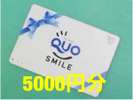 QUOカード5000円分がついた出張応援プラン