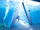 東北最大級の楽しく学べる体験型水族館「アクアマリンふくしま」