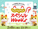 期間限定でお得！ご予約をお早めに♪