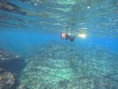 琴ガ浜でのスノーケリングと貸切風呂で、家族みんなで楽しむ夏のひととき。