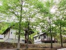 *ウッディで自然と調和した作りのコテージ