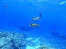 青く澄んだ沖縄の海でマリンアクティビティを楽しむ♪