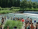 【登川河川公園】自然の川でカジカ獲りや水遊び（当ロッヂから車で約6分）
